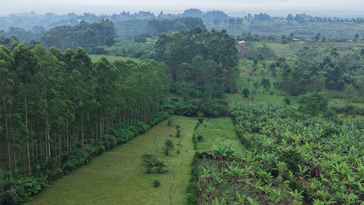 4 Acres of Land on Sale in Kabarole District
