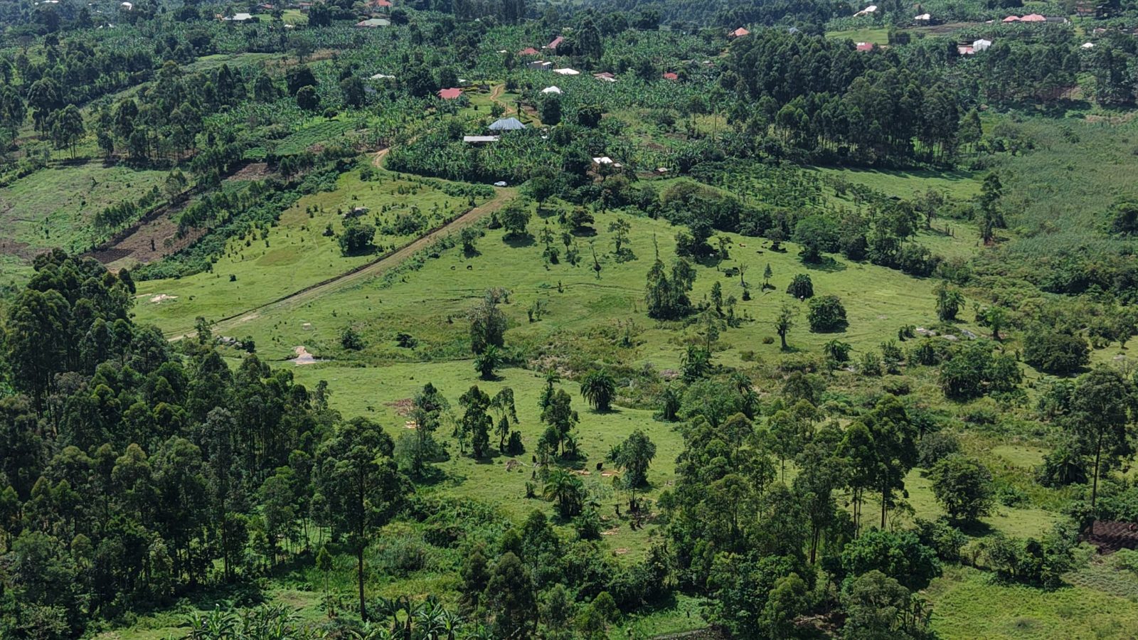 12 Acres of Prime Land on Sale in Fort Portal Tourism City